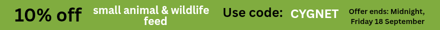 Discount offer banner image